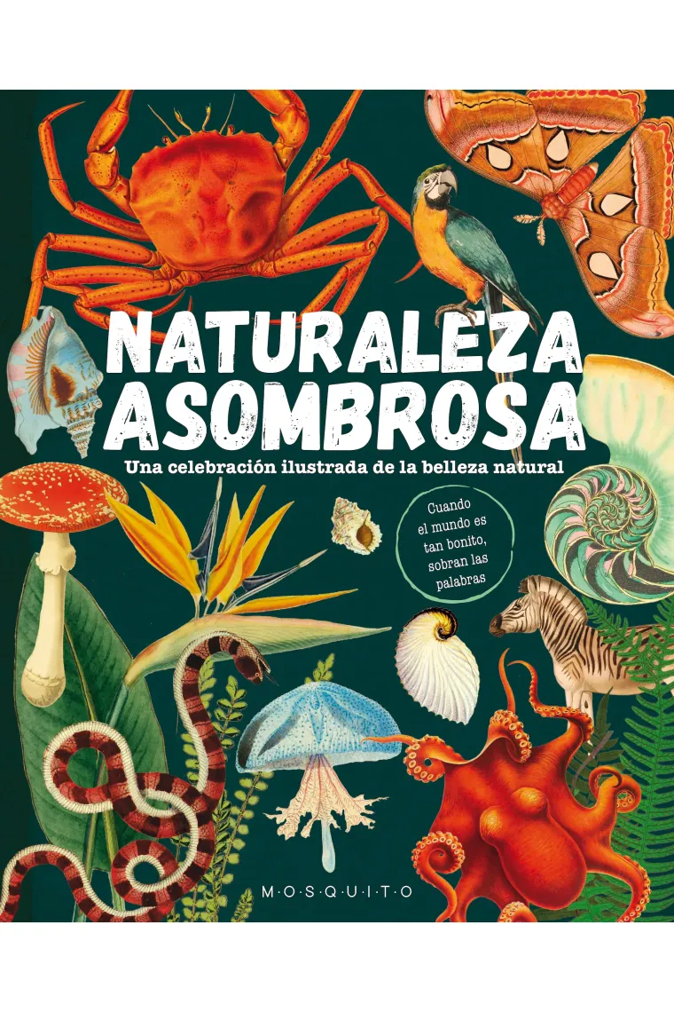 Naturaleza asombrosa