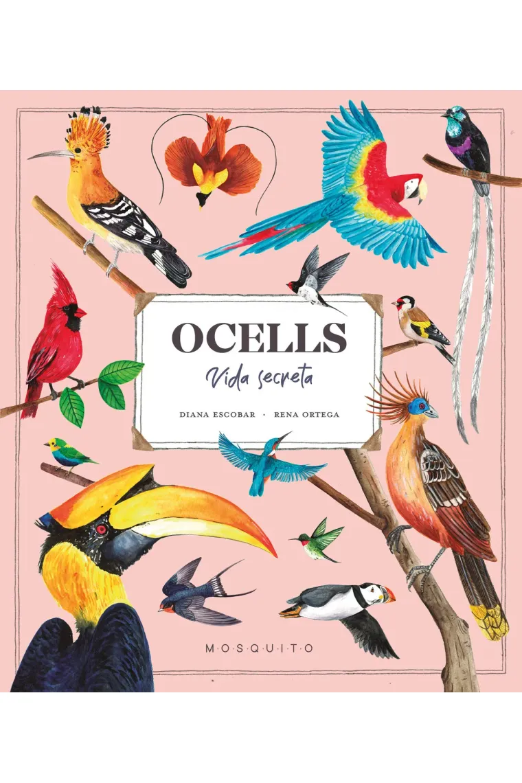 Ocells. Vida Secreta (Catalán)