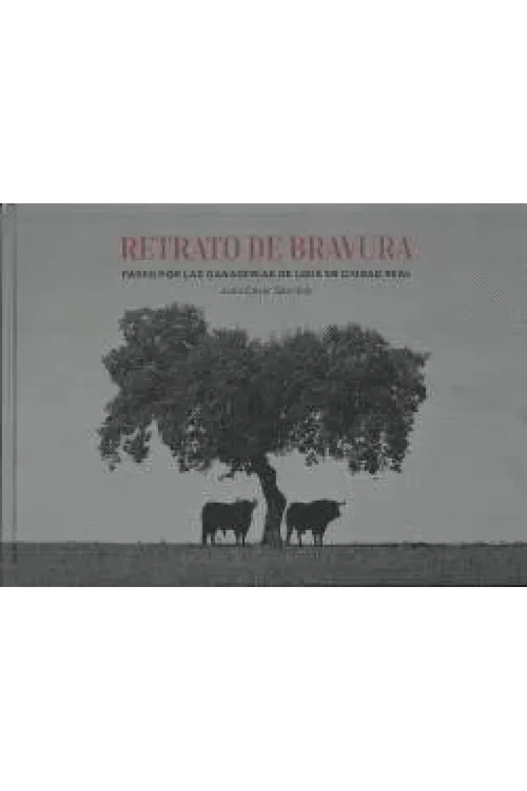RETRATO DE BRAVURA