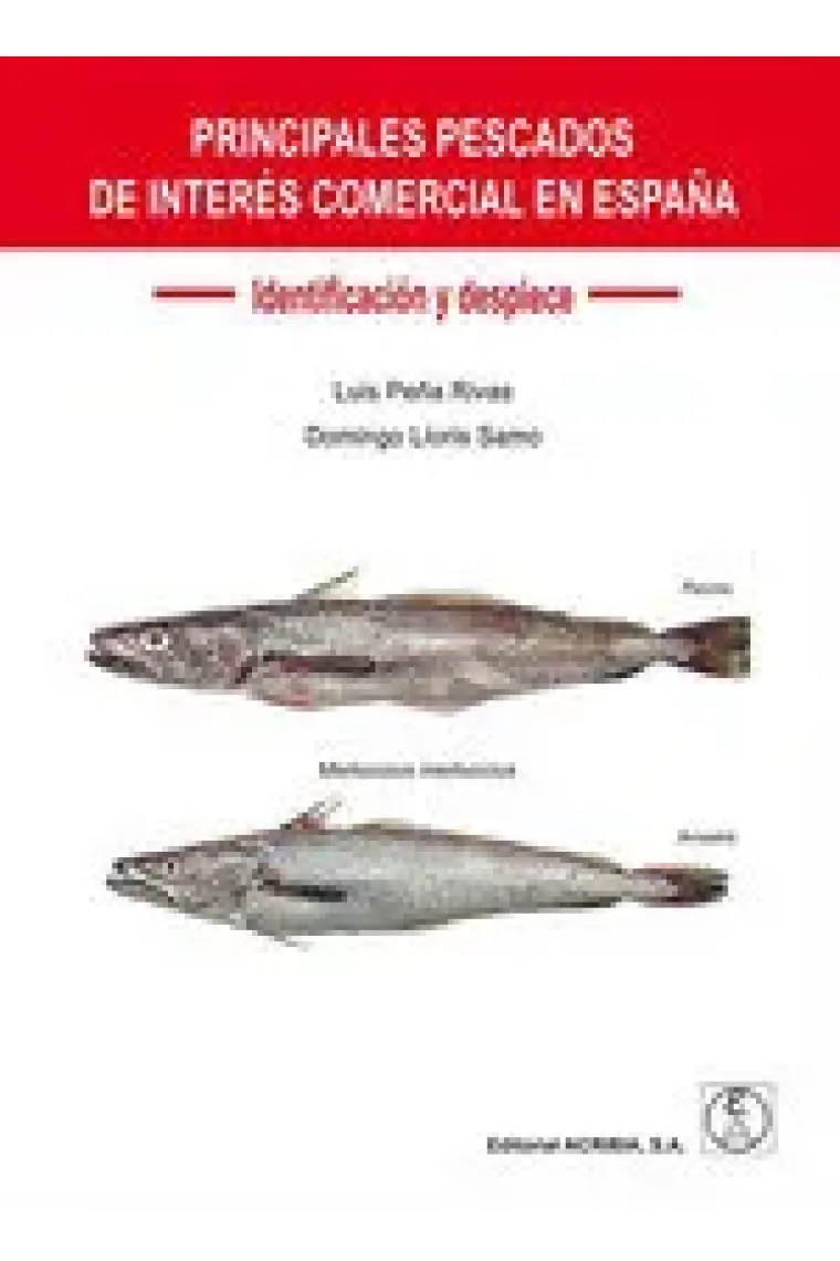 PRINCIPALES PESCADOS DE INTERES COMERCIAL EN ESPAÑA IDENTIF