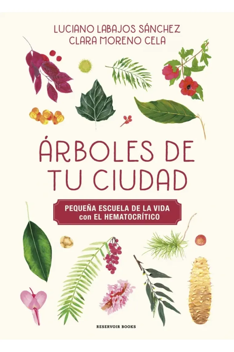 ARBOLES DE TU CIUDAD PEQUEÑA ESCUELA DE LA VIDA CON EL HEMA