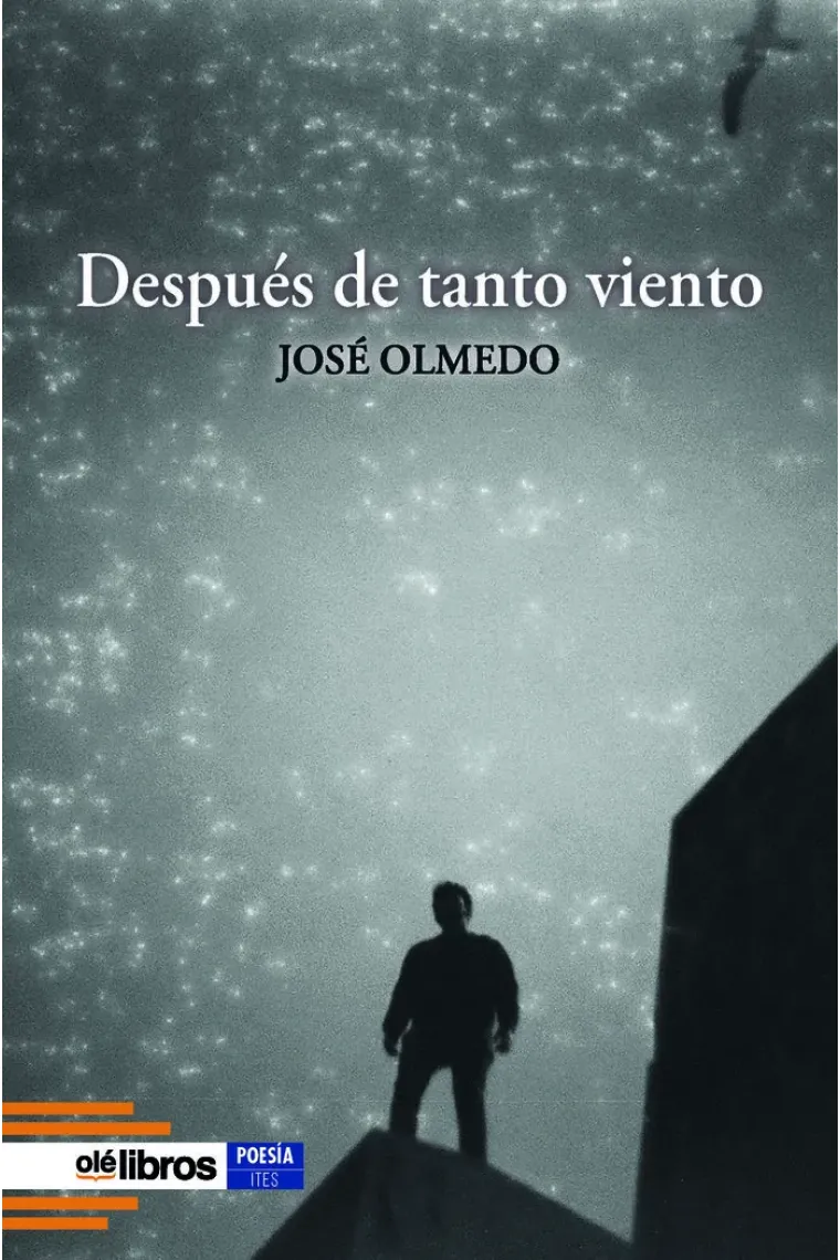 DESPUES DE TANTO VIENTO