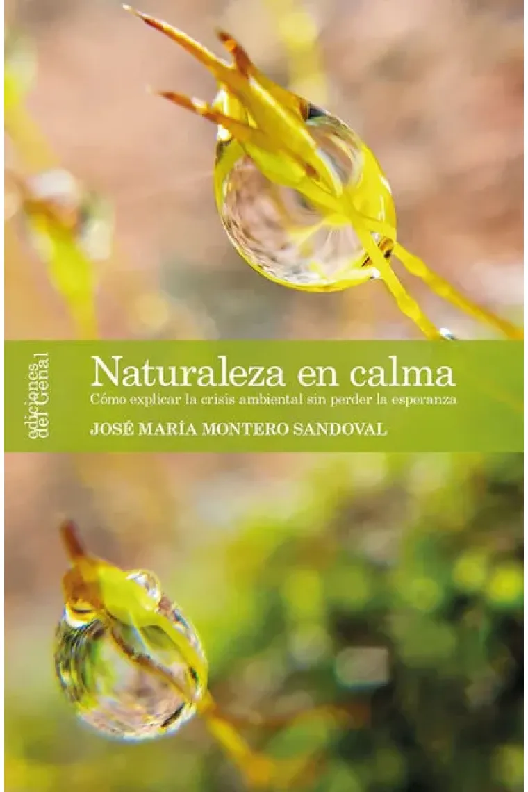 NATURALEZA EN CALMA
