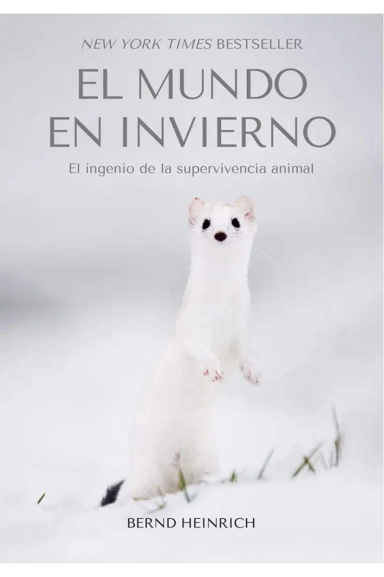 El mundo en invierno