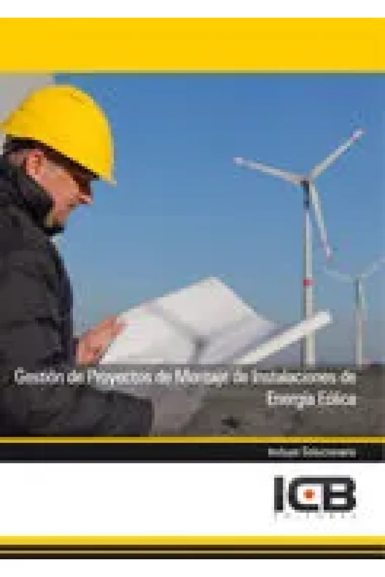 MANUAL GESTION DE PROYECTOS DE MONTAJE DE INSTALACIONES DE E