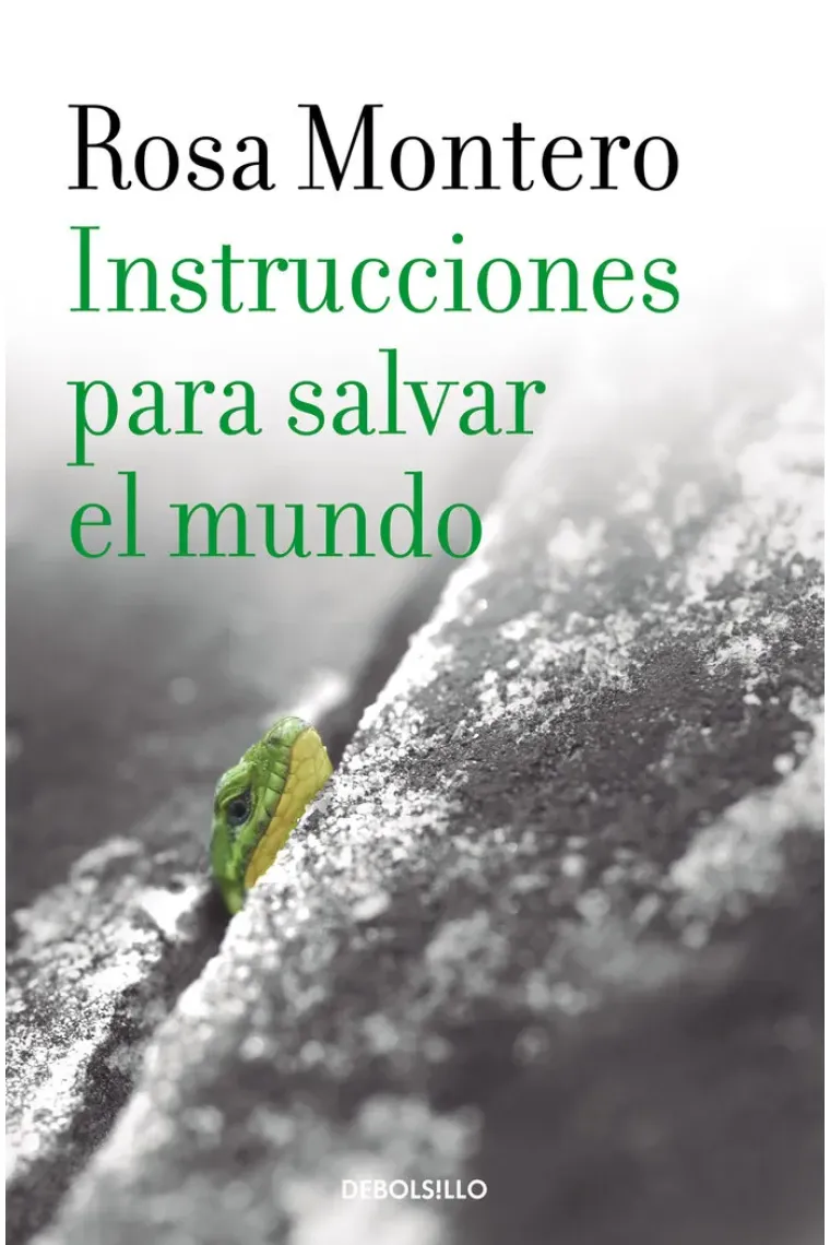 INSTRUCCIONES PARA SALVAR EL MUNDO