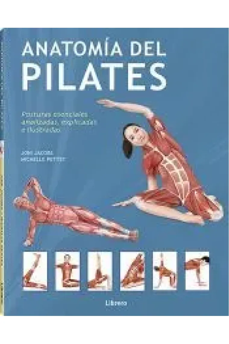 Anatomía del pilates