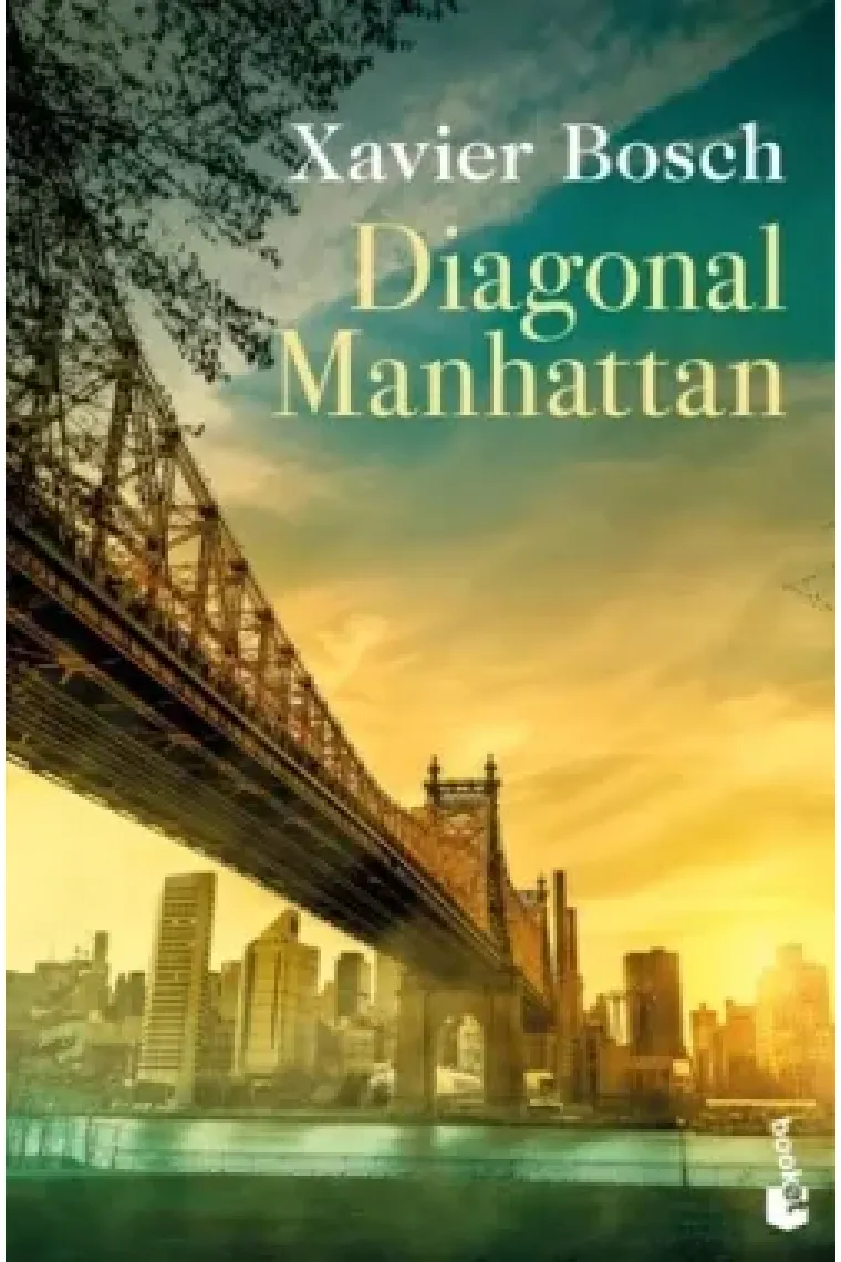Diagonal Manhattan