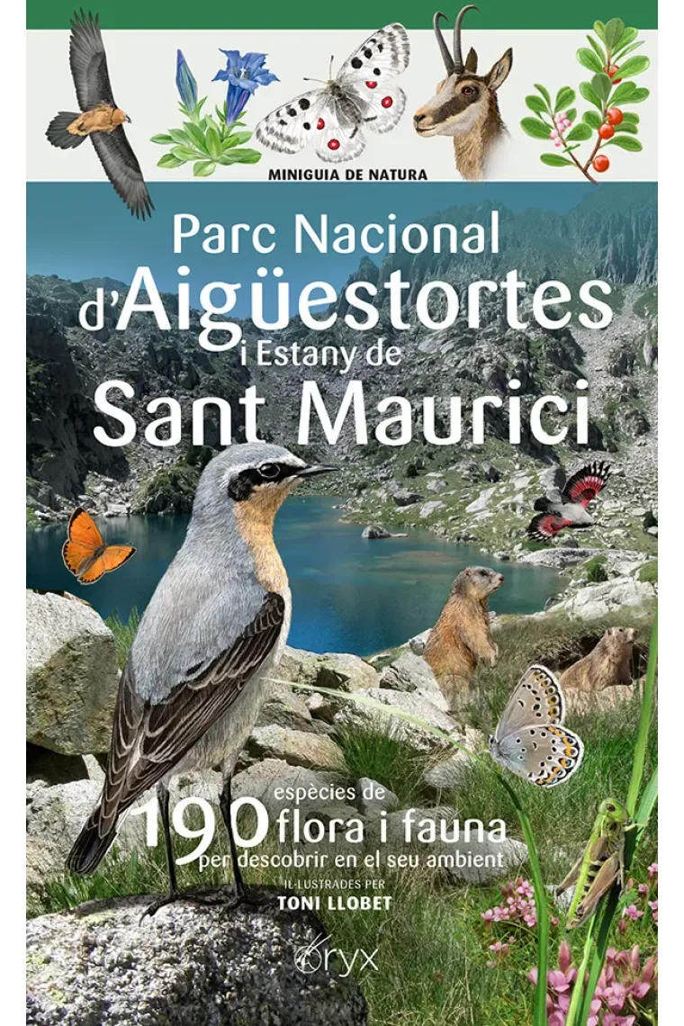 Parc Nacional d'Aigüestortes i Estany de Sant Maurici. 190 espècies de flora i fauna per descobrir en el seu ambient (Catalán)