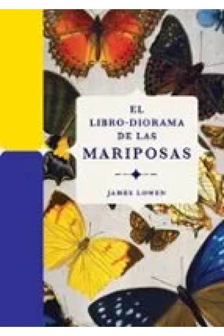 El libro diorama de las mariposas
