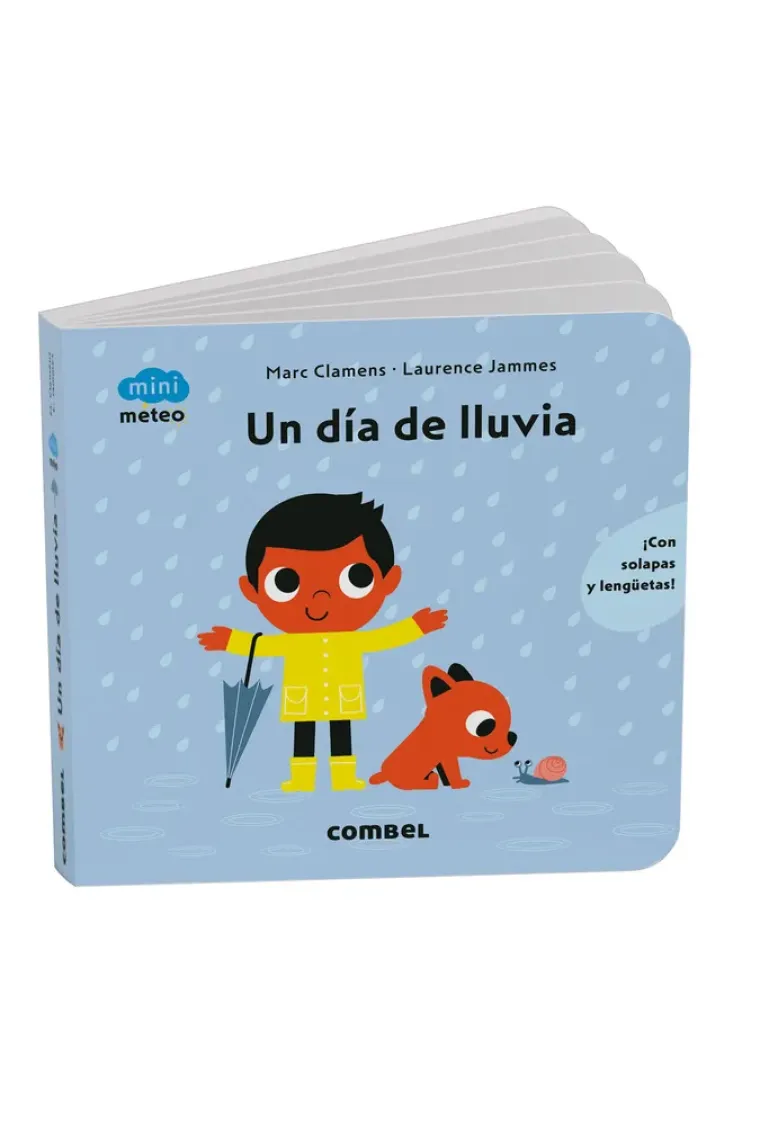 UN DIA DE LLUVIA