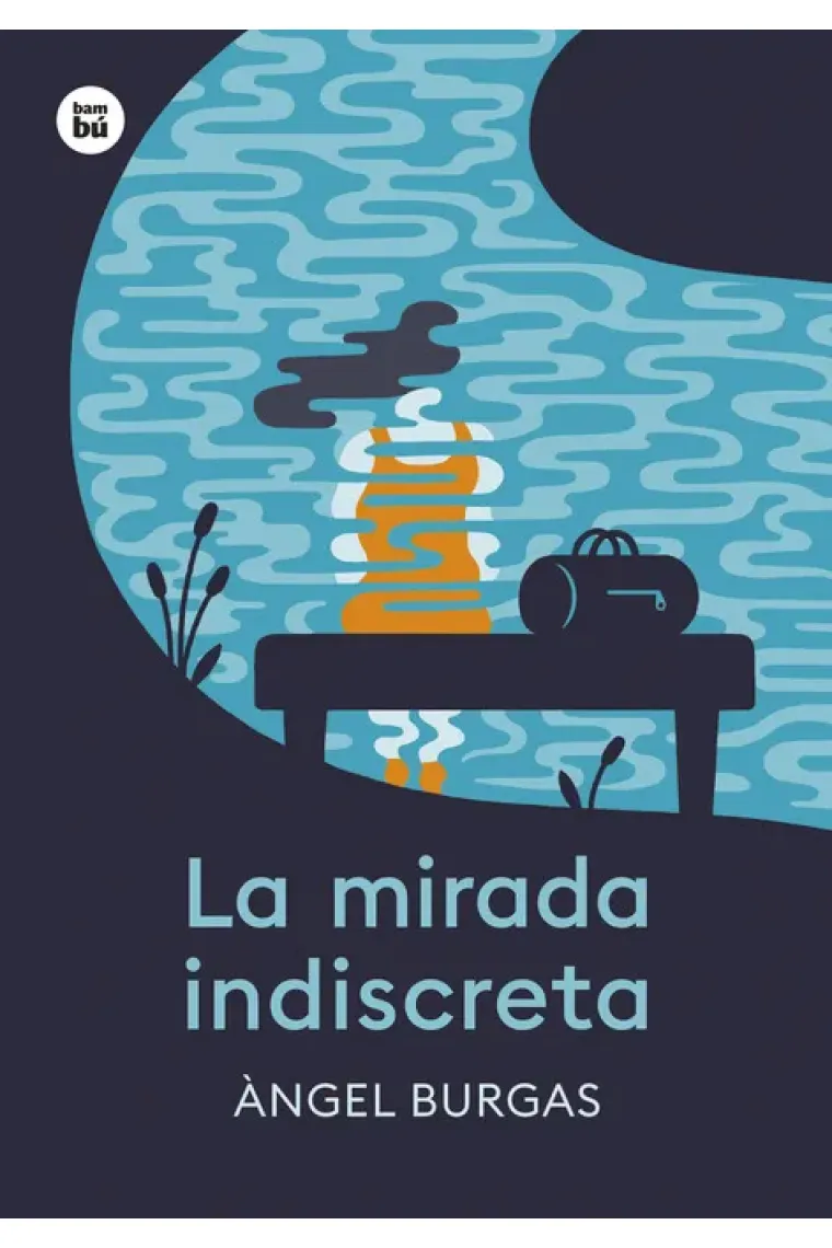 LA MIRADA INDISCRETA
