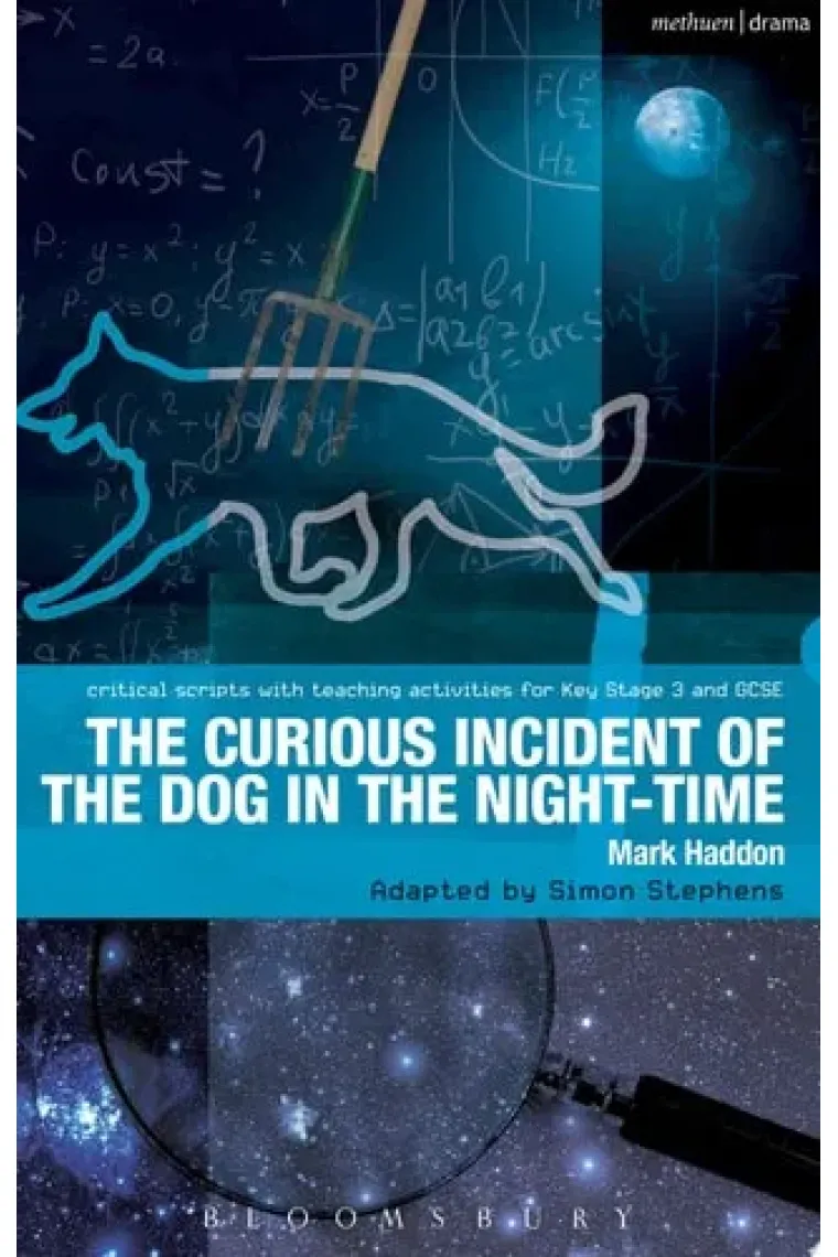 Curious Incident of the Dog in the Night-Time The Play