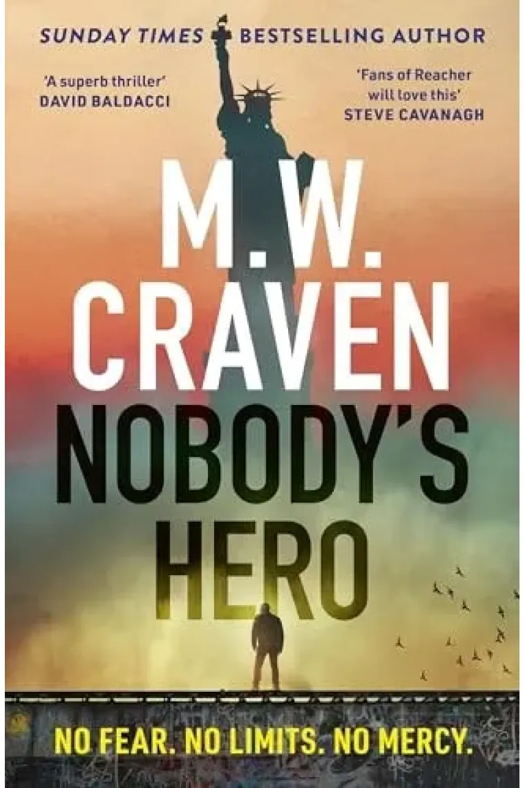 Nobody's Hero