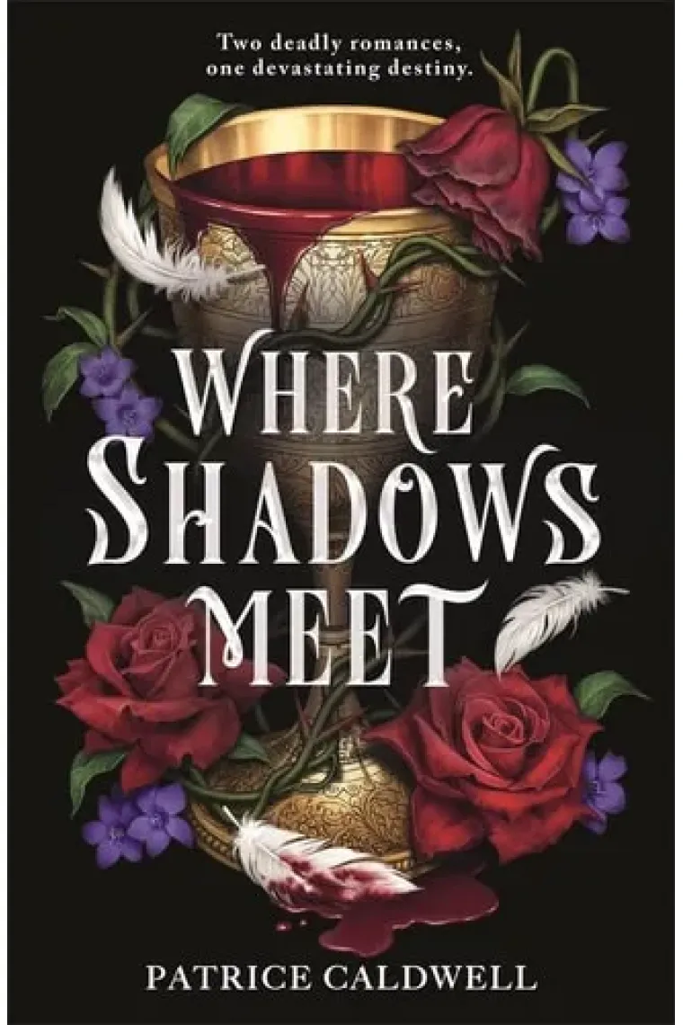 Where Shadows Meet
