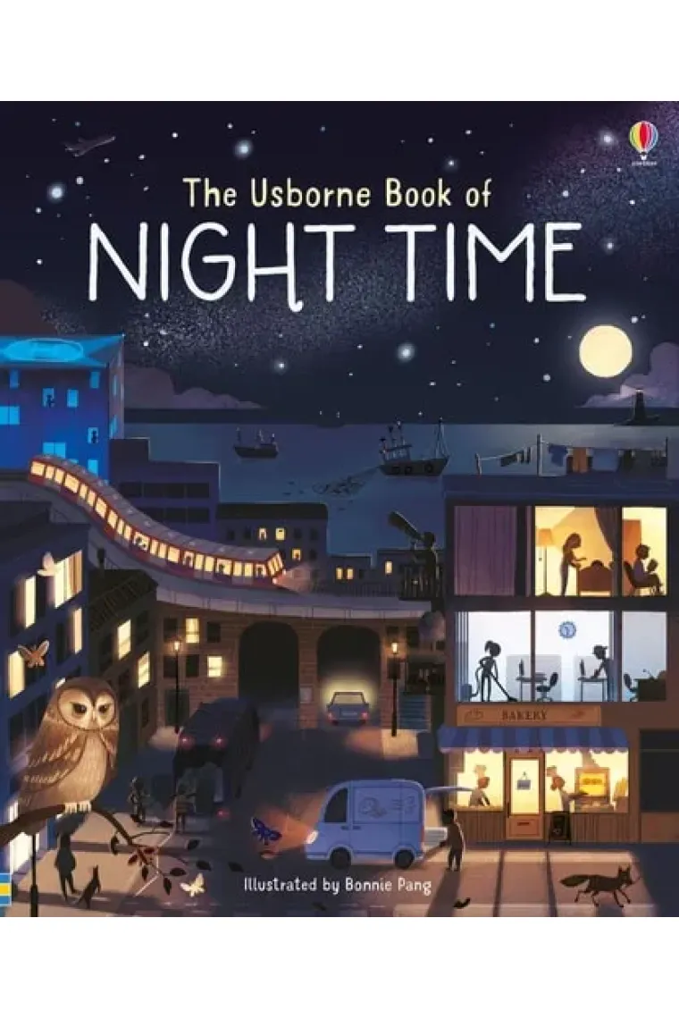 Usborne Book of Night Time