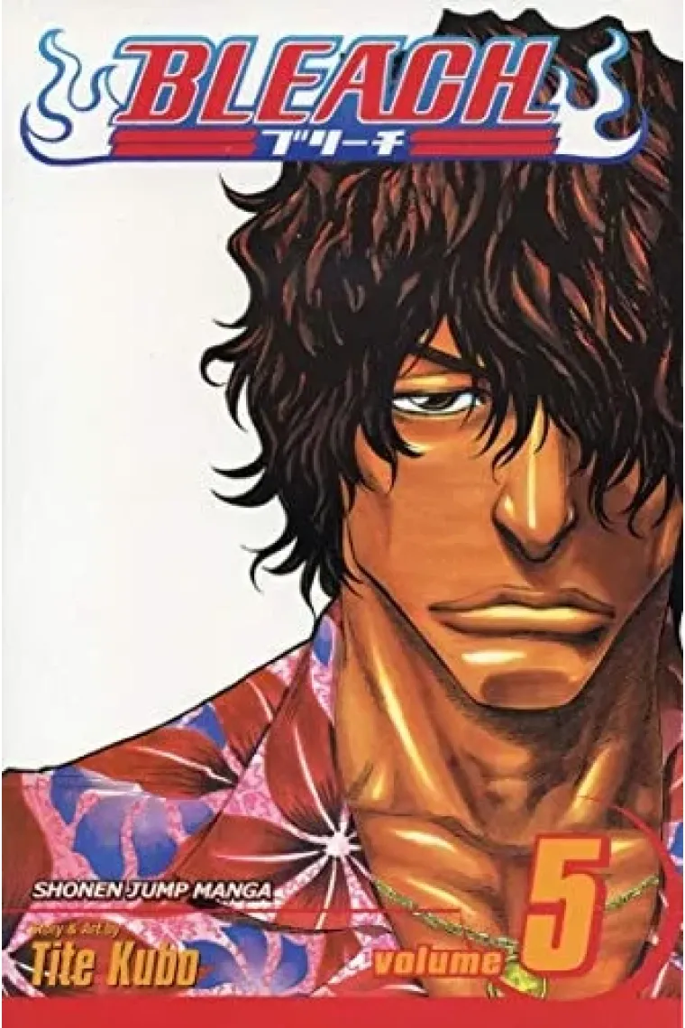 Bleach, Vol. 5 Right Arm of the Giant