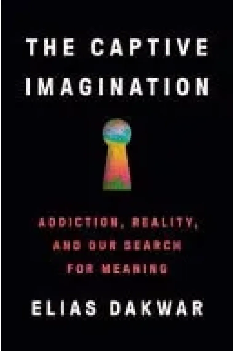 The Captive Imagination Addiction, Reality and Our Search for Meaning