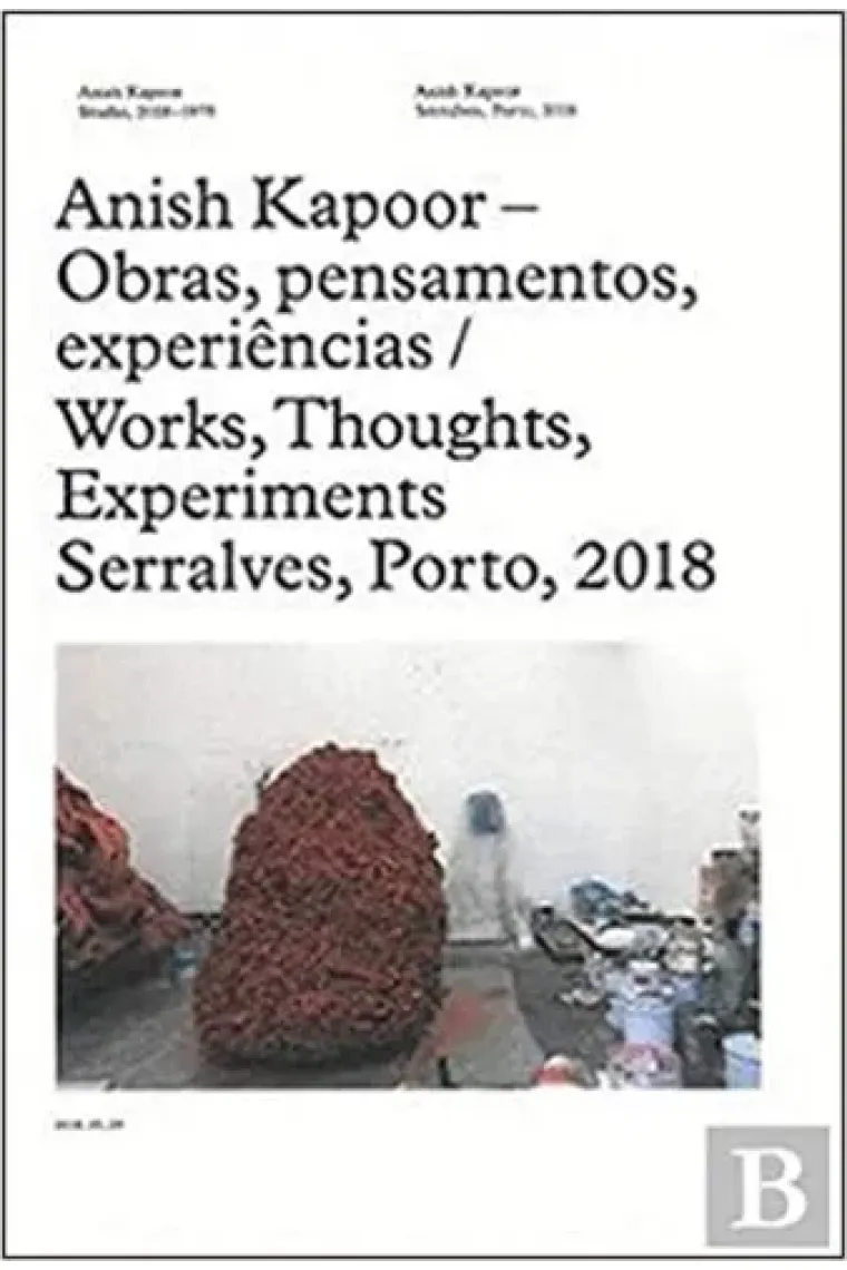 Anish Kapoor obras, pensamentos, experiências
