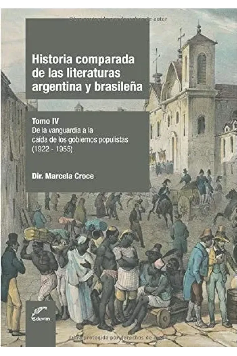 Historia comparada de las literaturas argentina y brasileña