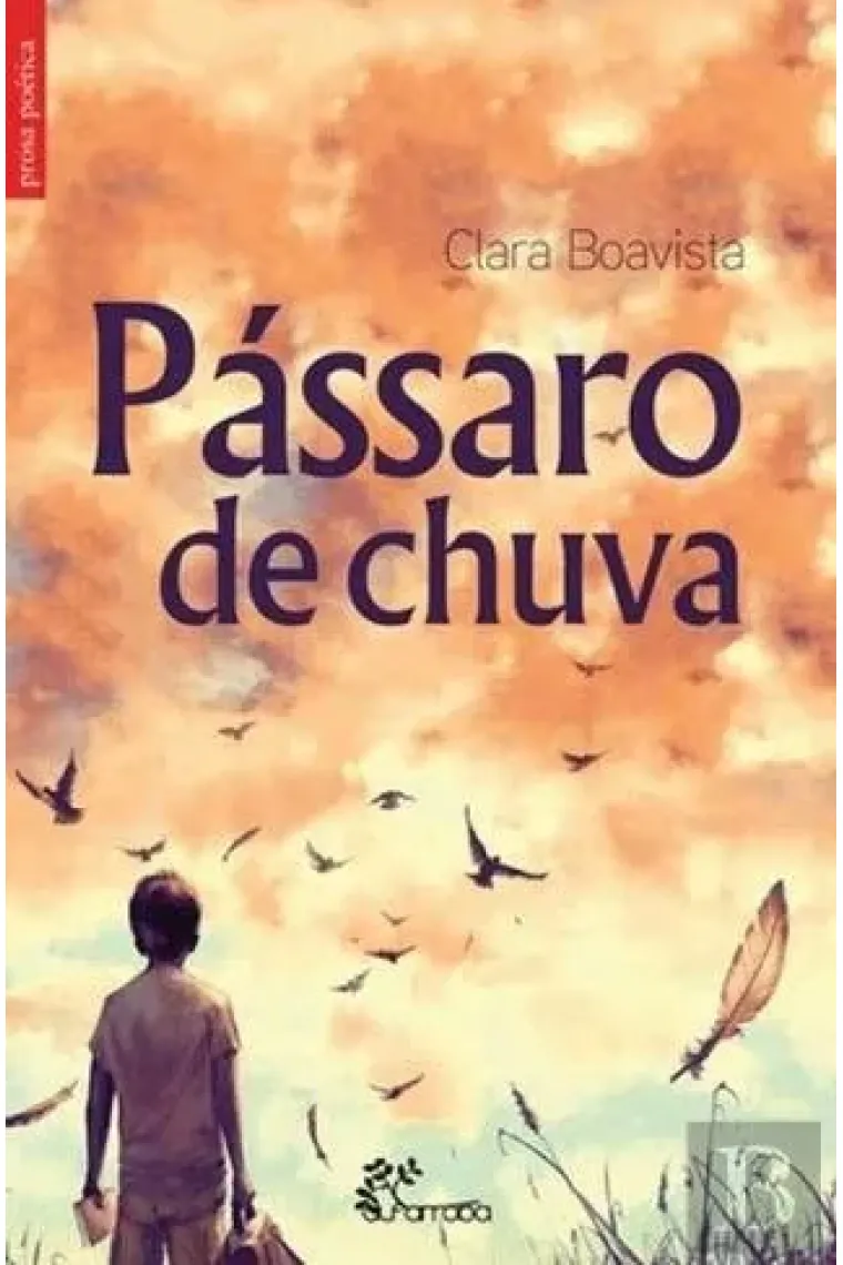 Pássaro de Chuva (Portuguese Edition)
