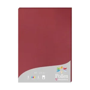 PAPEL CLAIREFONTAINE POLLEN A4 210G 25H BURDEOS