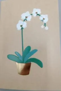 DRAEGER TARJETA CON SOBRE ORQUIDEA DIA DE LA MADRE