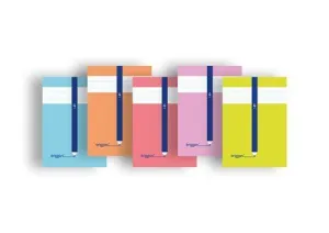 LAMELA LIBRETA ERIGGAN GRAPADA 50H 90G A4 CUADROVIA 4 MM (5 COL.SURT.)