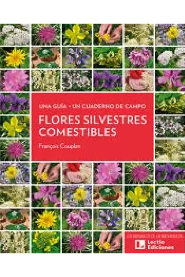 Flores silvestres comestibles