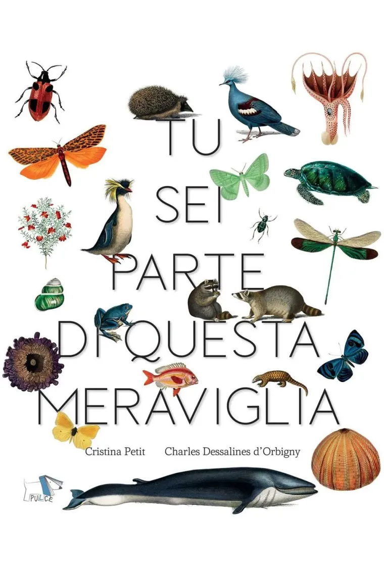 Tu sei parte di questa meraviglia (Italiano)