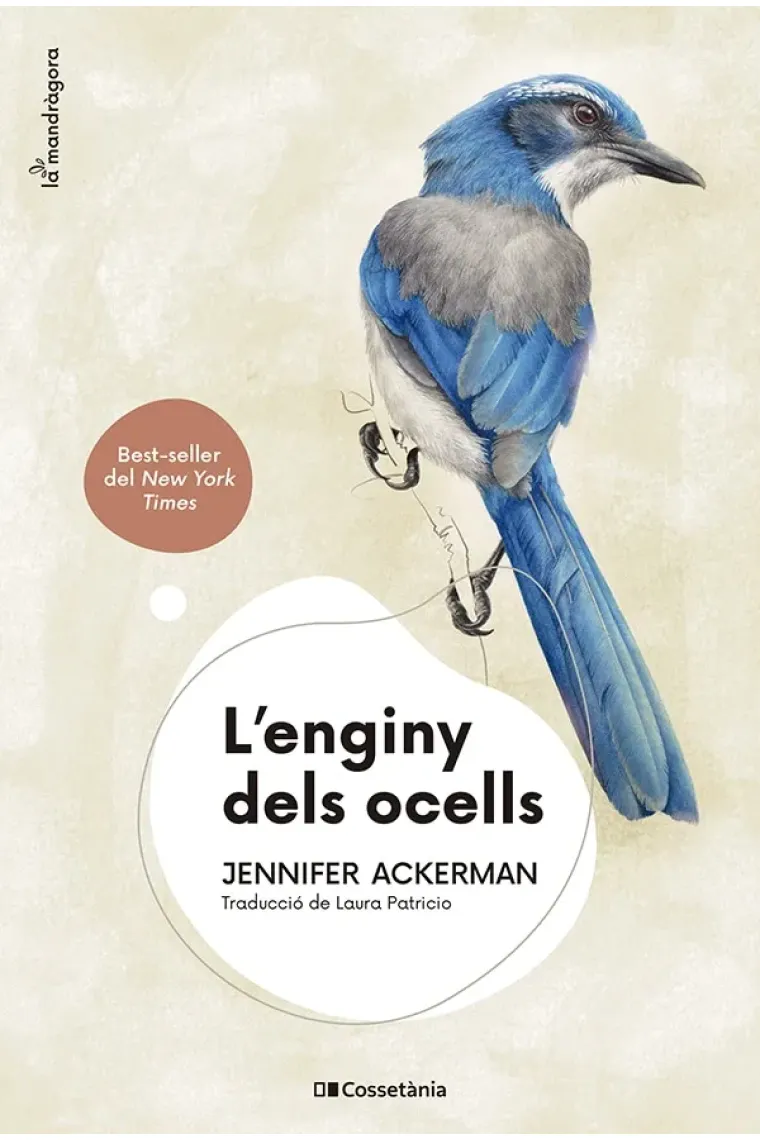 L'enginy dels ocells  (Catalán)