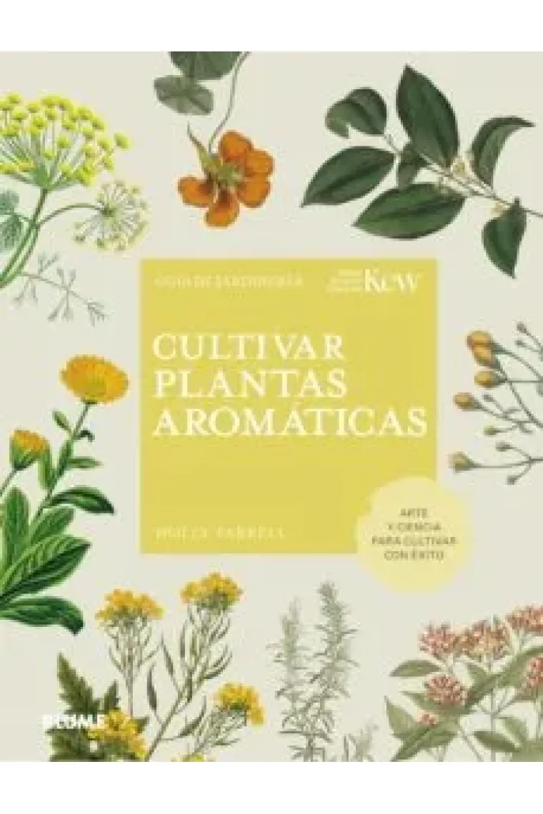 Cultivar plantas aromáticas.