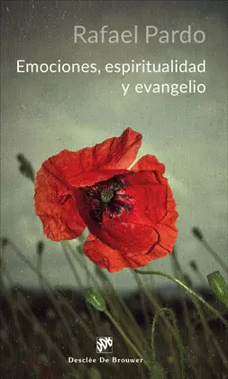 EMOCIONES, ESPIRITUALIDAD Y EVANGELIO
