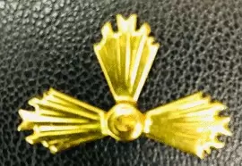 RAYOS ESTAMPADOS