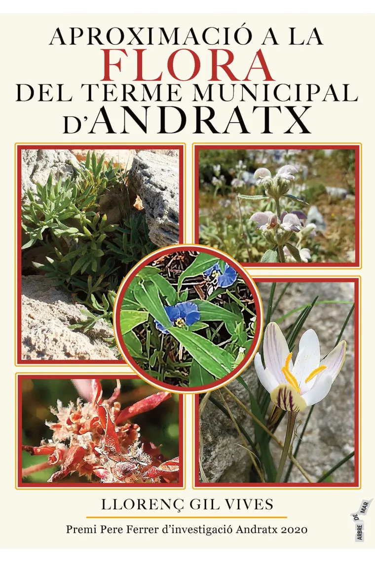 Aproximació a la flora del terme municipal d'Andratx (Catalán)