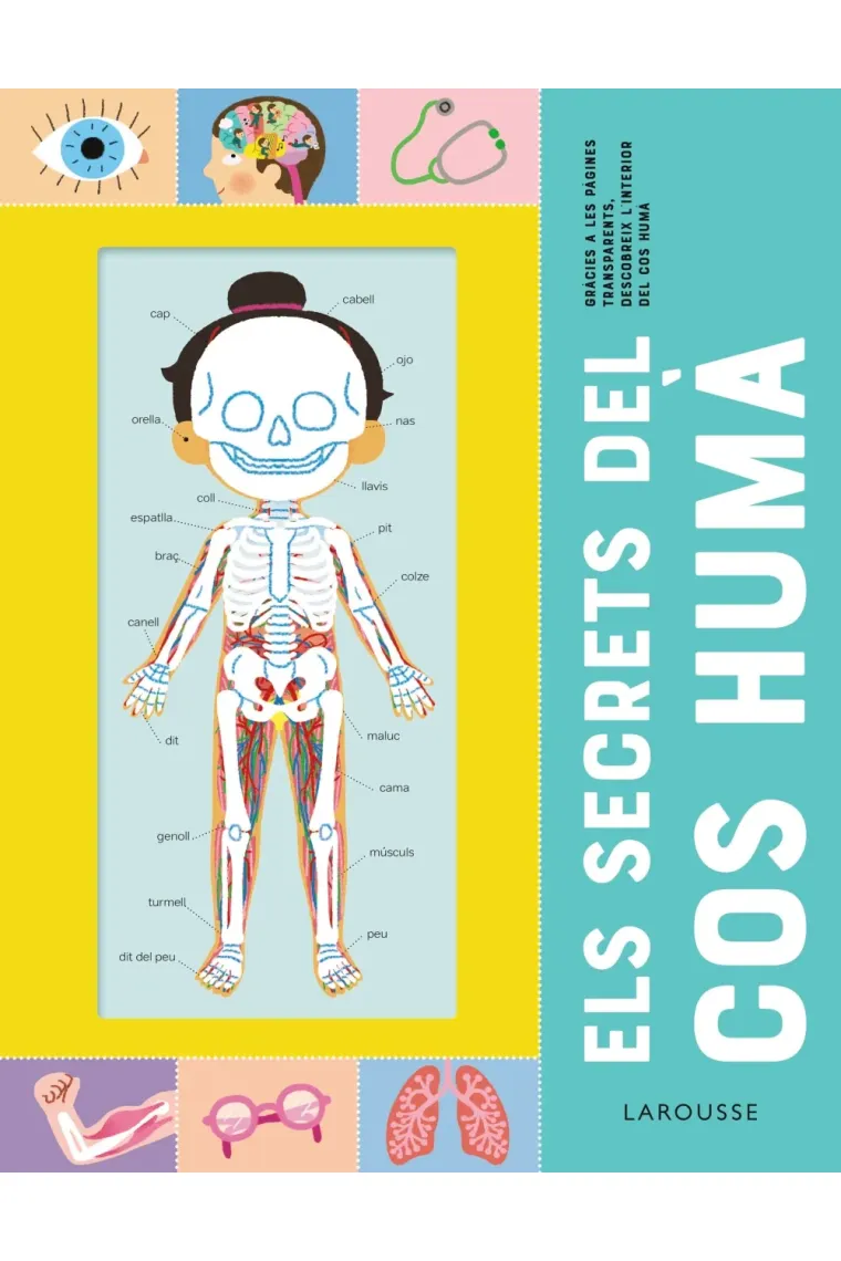 Els secrets del cos humà (Catalán)