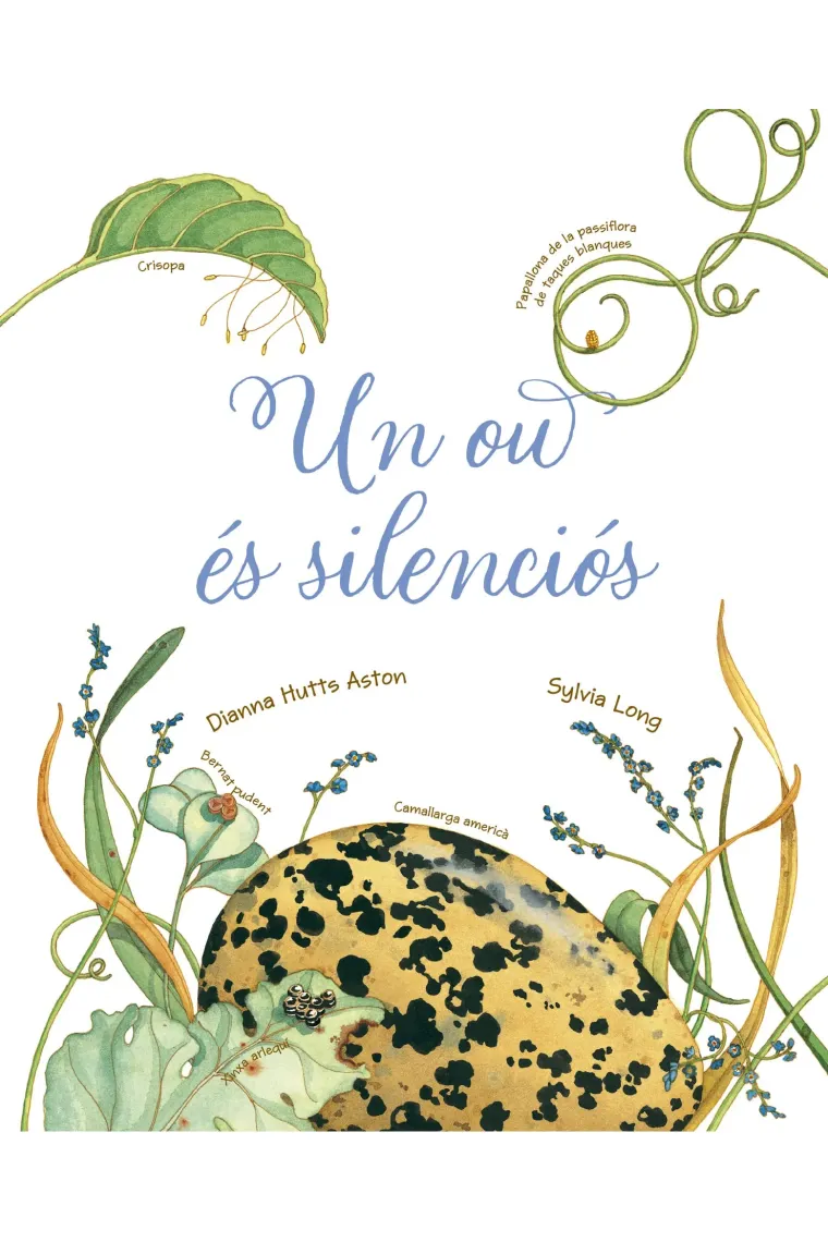 Un ou és silenciós (Catalán)