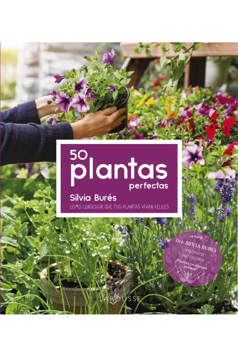 50 plantas perfectas. Cómo conseguir que tus plantas vivan felices