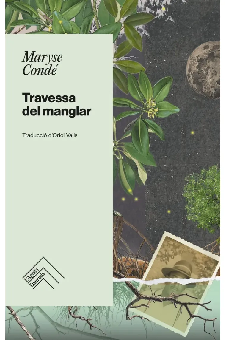 Travessa del manglar (Catalán)