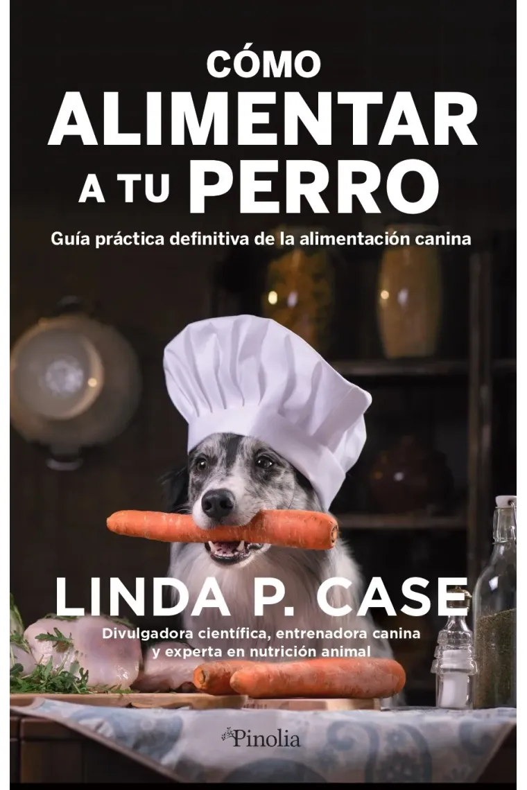 Cómo alimentar a tu perro.