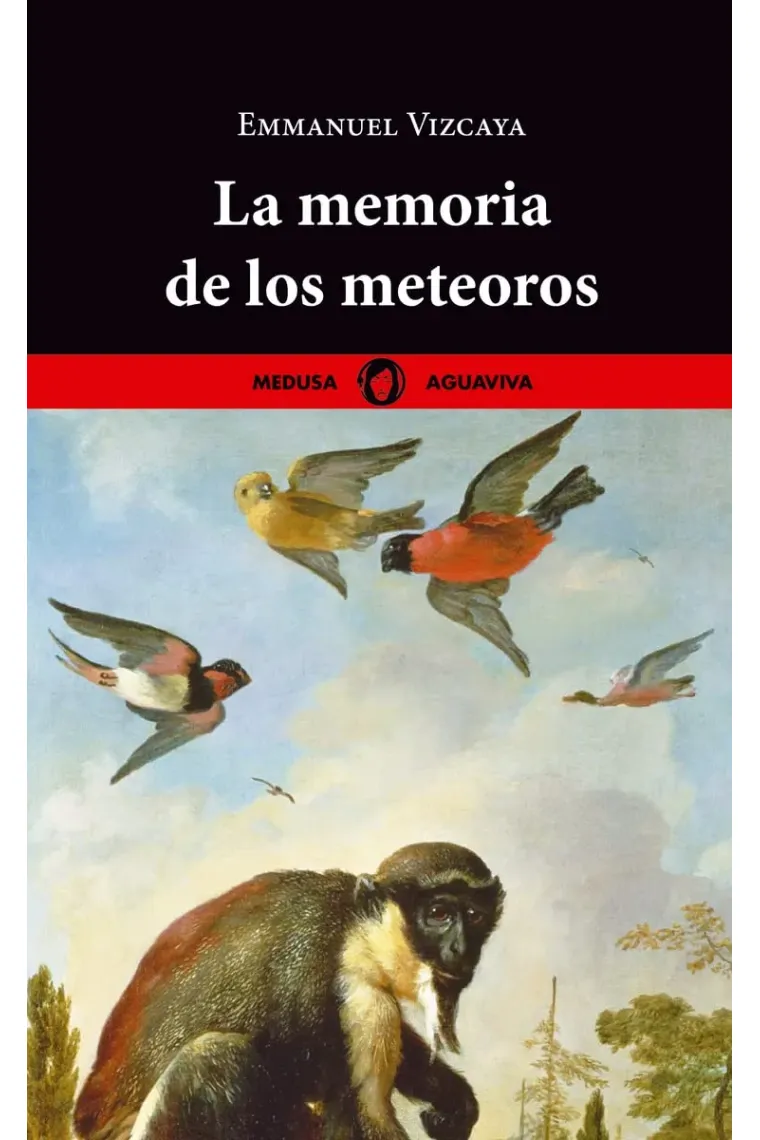La memoria de los meteoros (Aerovitrales · Cielo de radares)