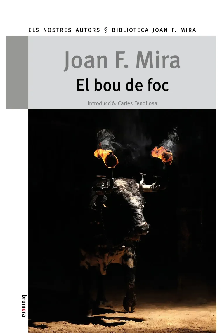 El bou de foc (Catalán)