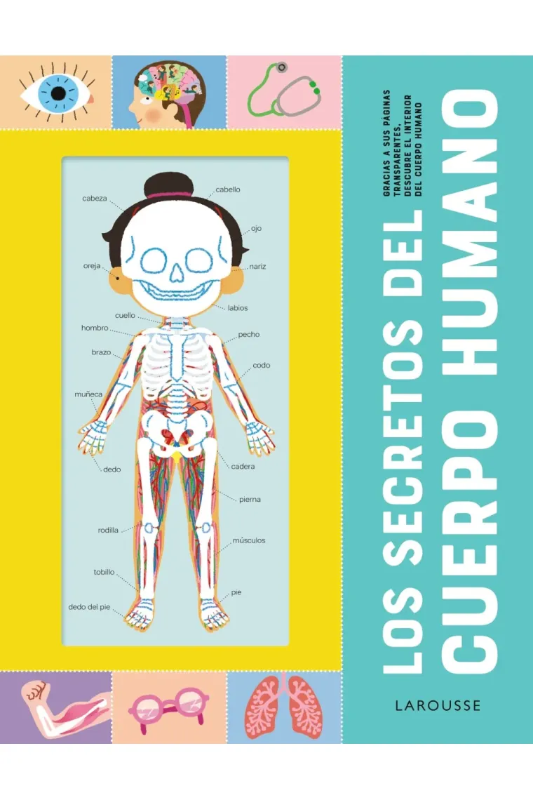 Los secretos del cuerpo humano
