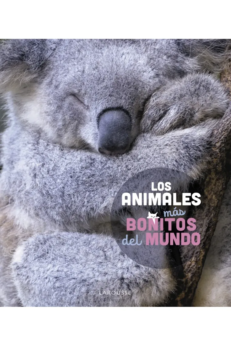 Los animales más bonitos del mundo